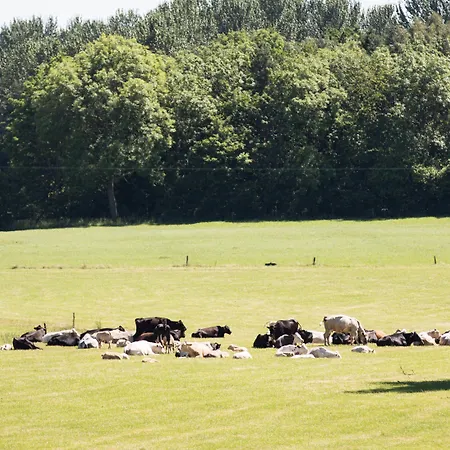 Goldsborough Hall 5* Нерсборо