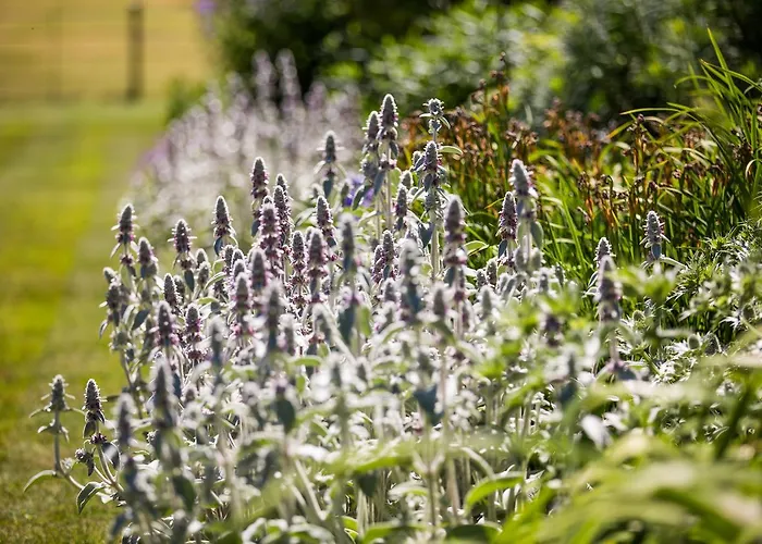 戈尔兹伯勒豪尔酒店 酒店 纳尔斯伯勒