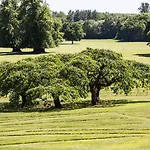 Goldsborough Hall 5* Knaresborough