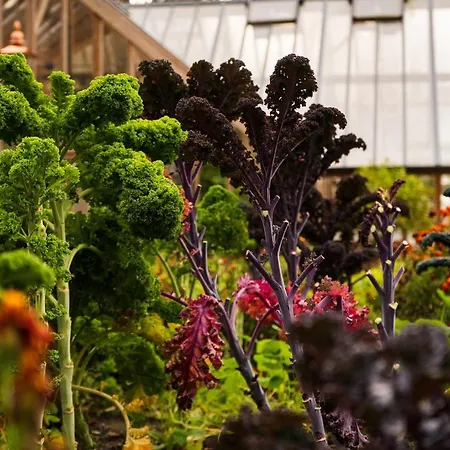 Hotel Goldsborough Hall 5*