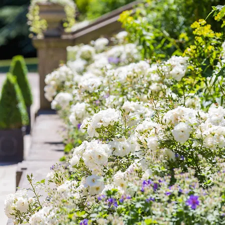 Goldsborough Hall فندق