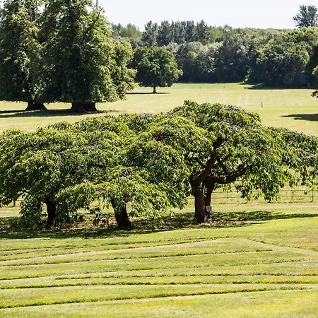 Goldsborough Hall 5* Knaresborough